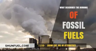 Fossil Fuel Combustion: Understanding the Burning Process