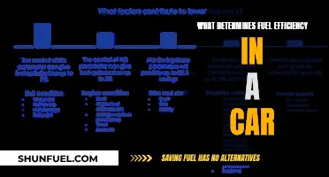Factors Affecting Fuel Efficiency in Cars