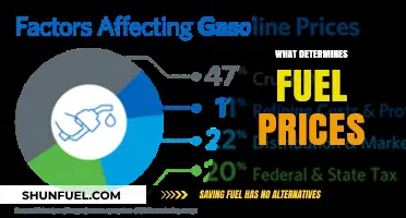 Understanding the Key Factors That Determine Fuel Prices