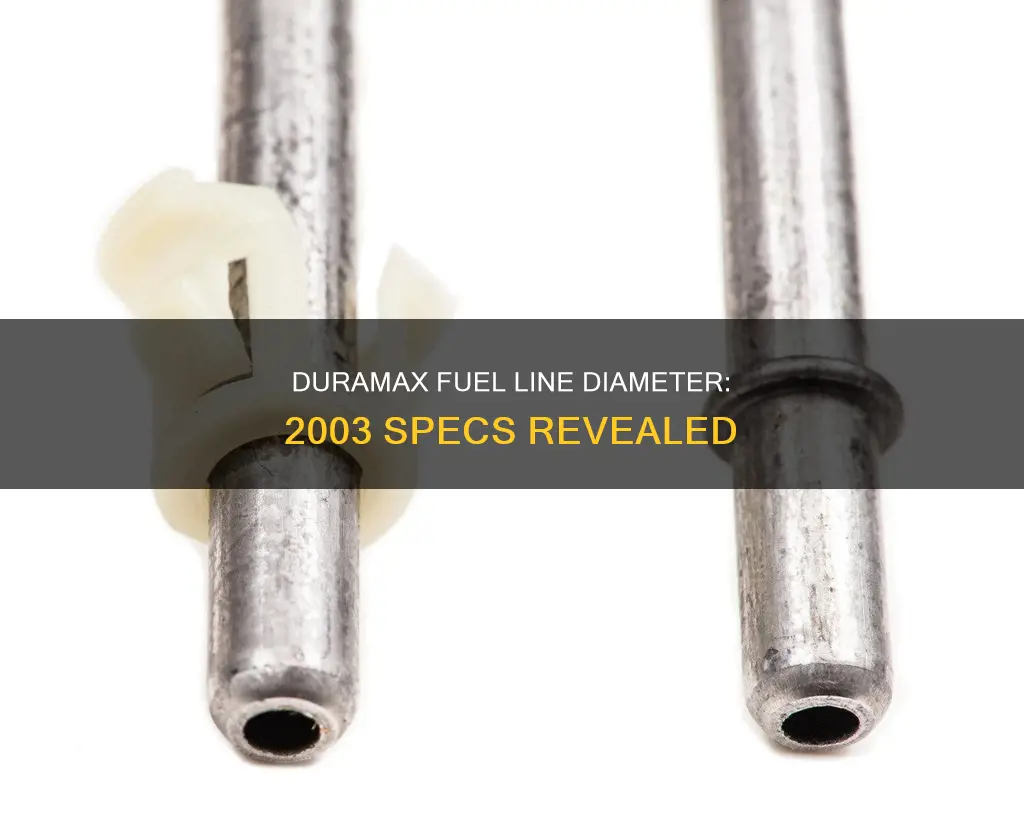 what diameter are fuel lines on a 2003 duramax