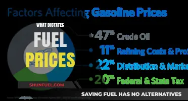 Understanding the Complex Factors That Dictate Fluctuating Fuel Prices
