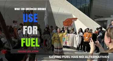 Traditional American Indian Fuel Sources: A Historical Overview
