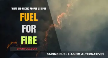 Arctic Survival: Traditional Fuels Used by Indigenous Peoples for Fire