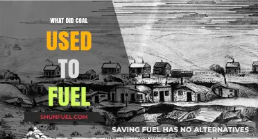 Coal's Historic Role: Powering Industries, Homes, and Revolutions