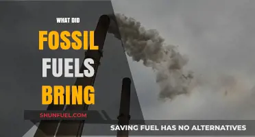 Fossil Fuels: Power, Pollution, and Climate Change
