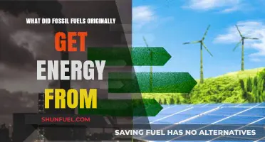 The Sun's Energy: Fossil Fuels' Ancient Power Source