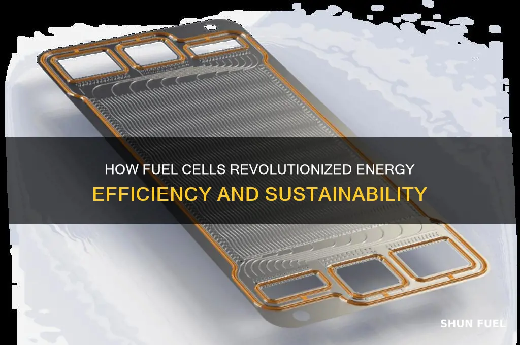 what did fuel cell do