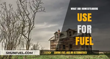 Fuel Sources of Homesteaders: Wood, Coal, and Beyond