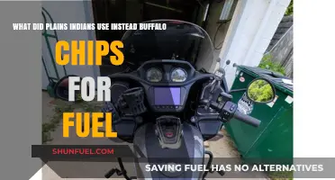Beyond Buffalo Chips: Alternative Fuel Sources of the Plains Indians