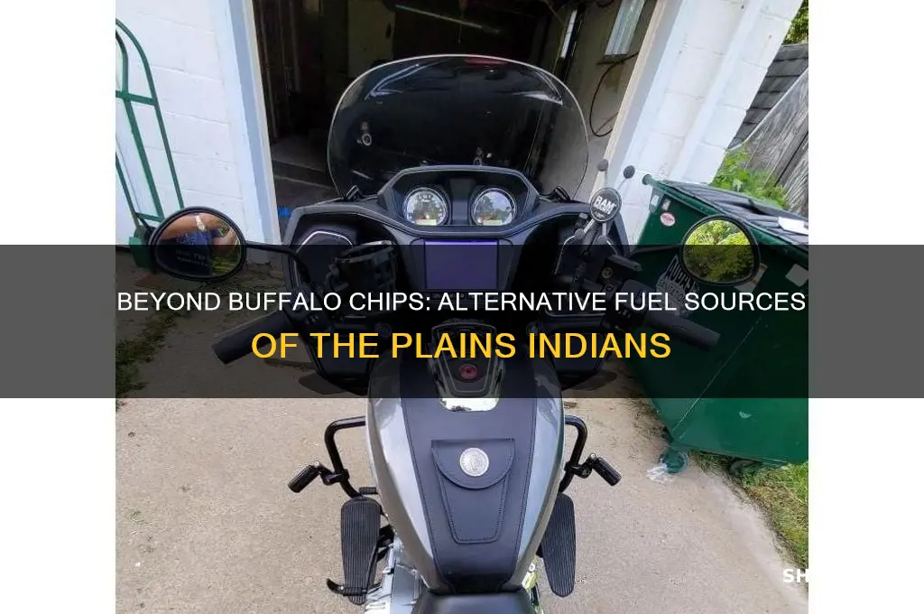 what did plains indians use instead buffalo chips for fuel
