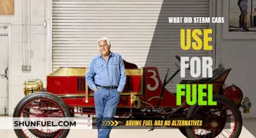Steam Cars: Historical Fuel Choices and Alternatives