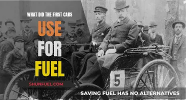 The Evolution of Fuel: Powering the First Cars