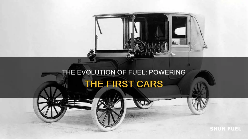 what did the first cars use for fuel