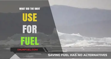 Inuit Fuel Sources: Traditional Heating and Cooking Methods Explained