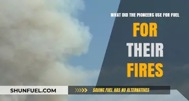 Pioneer Fire Fuel: Creative Survival Methods for Early Settlers