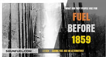 Pre-1859 Fuel Sources: How Did People Power Their Lives?