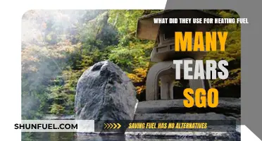 Ancient Heating Methods: Exploring Fuels Used in Bygone Eras