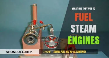 From Wood to Coal: The Evolution of Steam Engine Fuel Sources