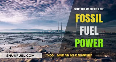 The Power of Fossil Fuels: What We Did and What's Next