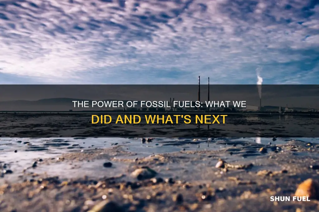 what did we do with the fossil fuel power