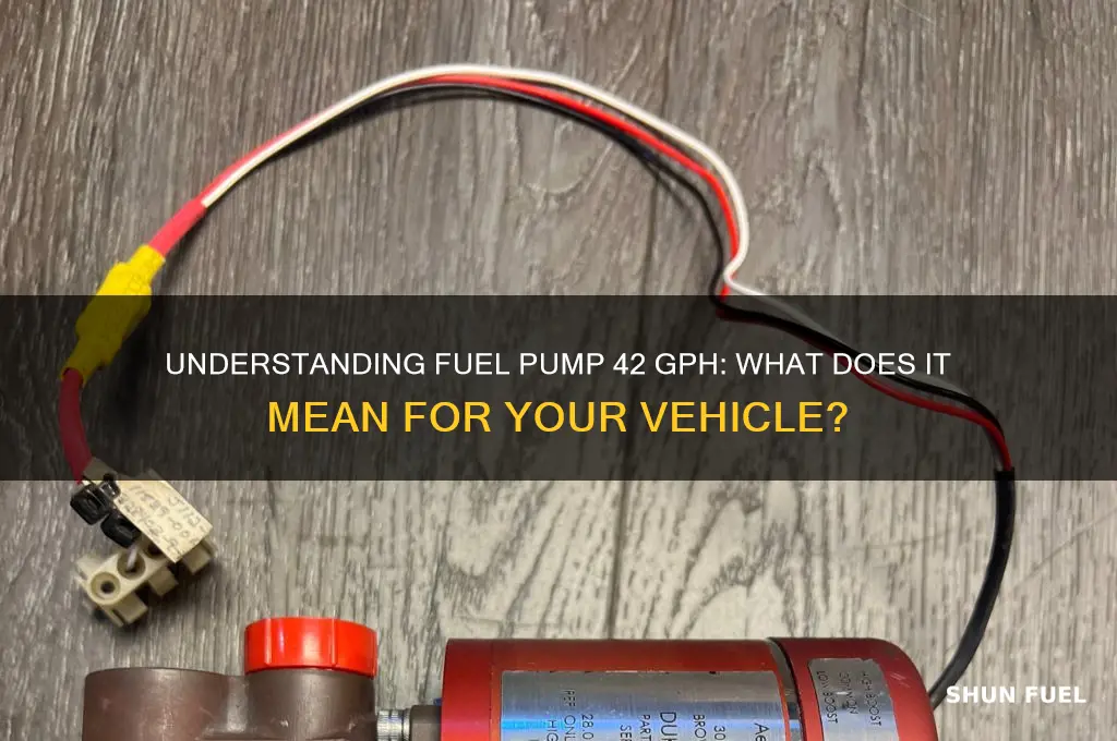 what dies fuel pump 42 gph mean