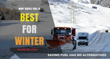 Winter Diesel: Choosing the Best Fuel for Cold Weather