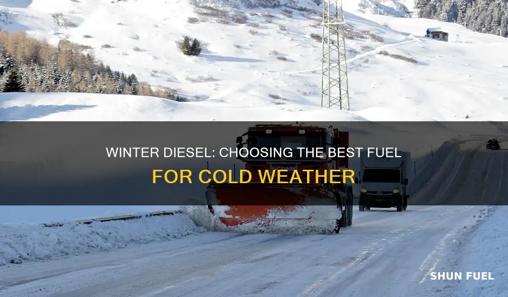 what diesel fuel is best for winter