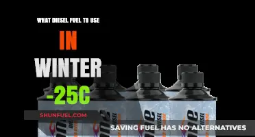 Winter Diesel: Choosing the Right Fuel for Cold Climates