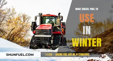 Winter Diesel Fuel Guide: Choosing the Right Type for Cold Weather