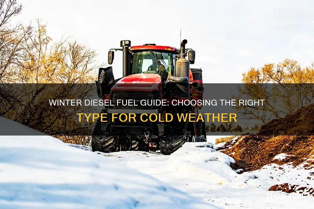 what diesel fuel to use in winter