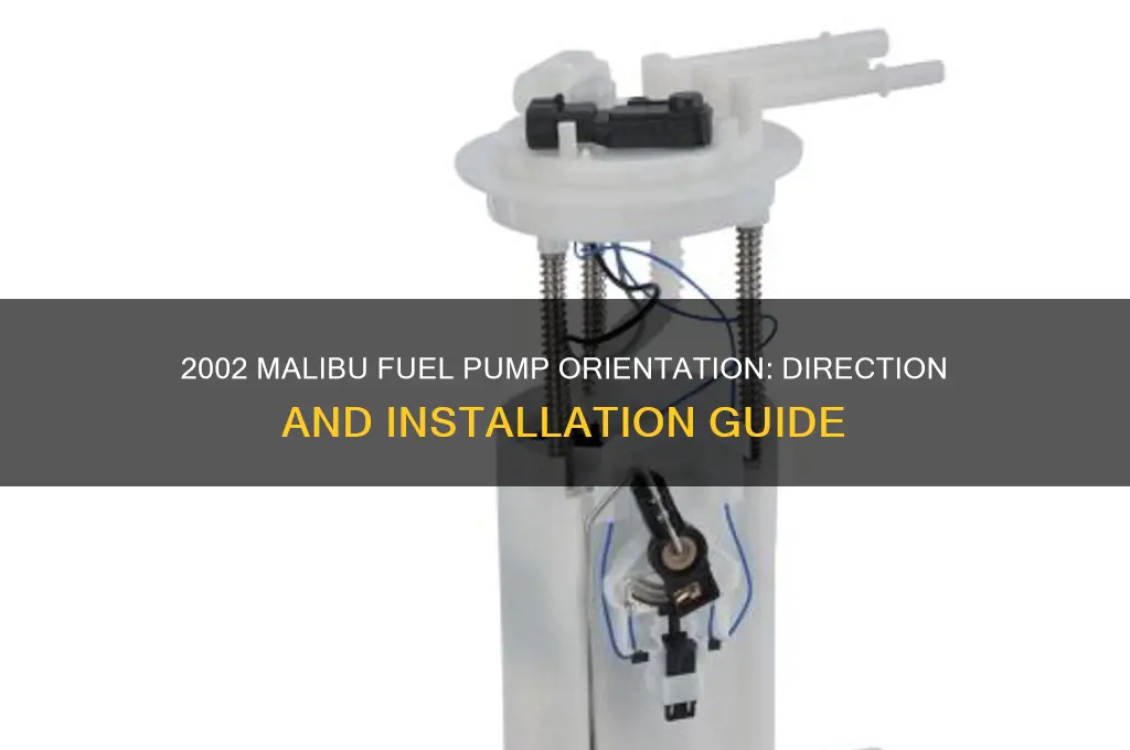 what direction does fuel pump face in 2002 malibu