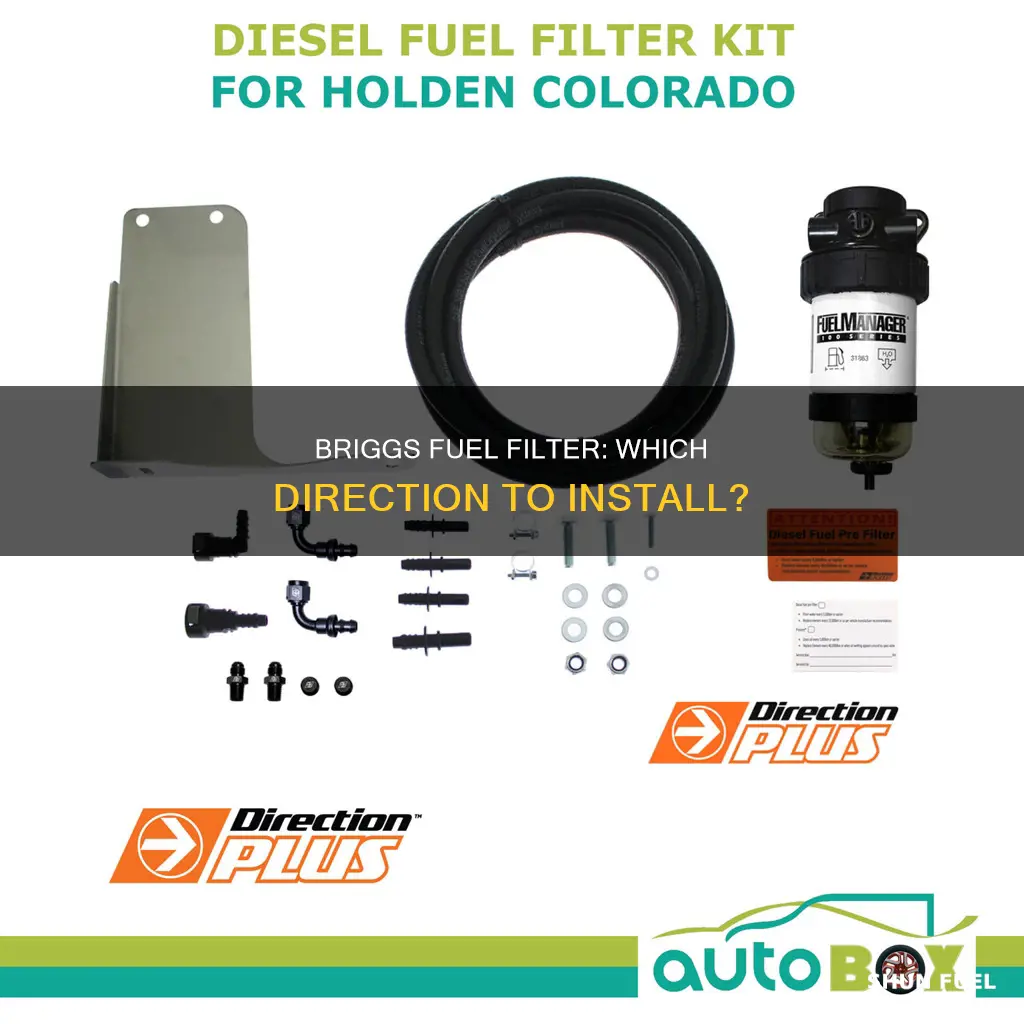 what direction for briggs fuel filter