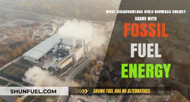 Biomass and Fossil Fuels: A Shared Disadvantage