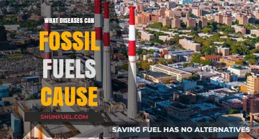 Fossil Fuels: A Health Hazard and Disease Source