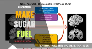 Sugar as Fuel: Diseases That Thrive on Glucose Metabolism
