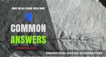 Fossil Fuels: Common Origins, Common Future