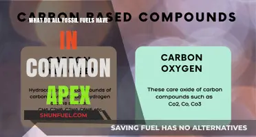 The Common Denominator of Fossil Fuels