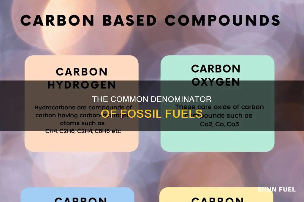what do all fossil fuels have in common apex