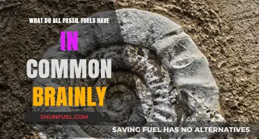 Fossil Fuels: Common Origins, Common Problems