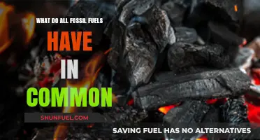 Fossil Fuels: Common Origins, Common Energy Sources
