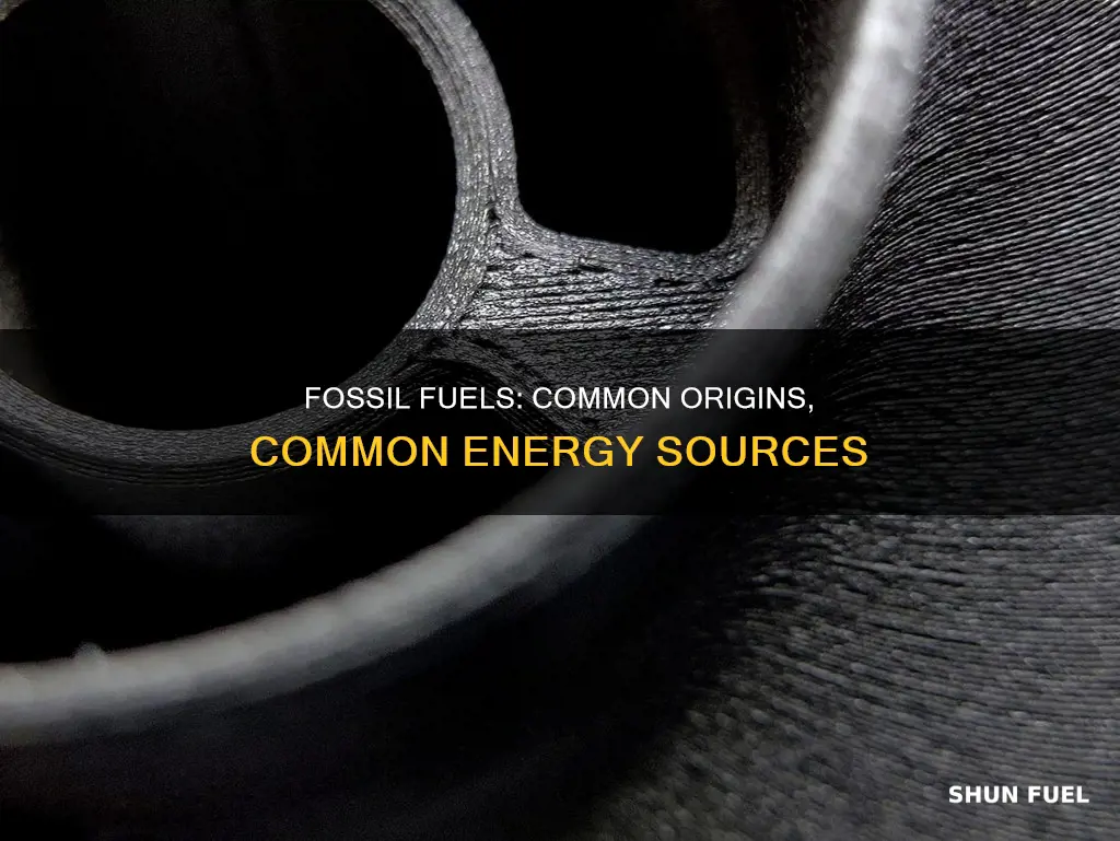 what do all fossil fuels have in common