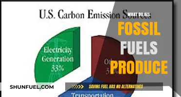 Fossil Fuels: A Common Denominator of Carbon Emissions