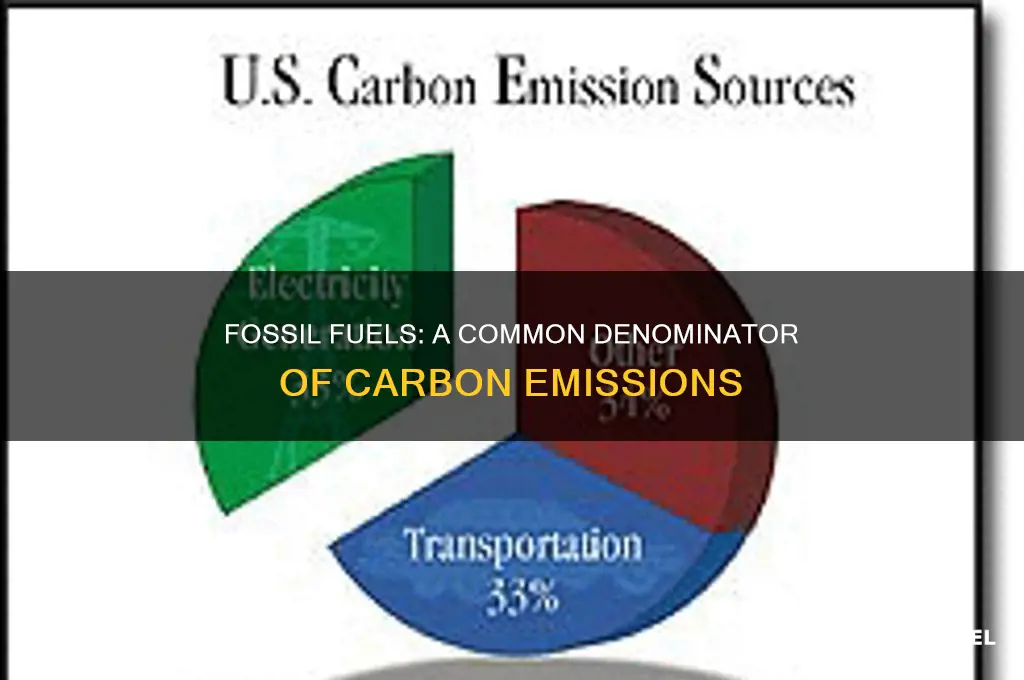 what do all fossil fuels produce