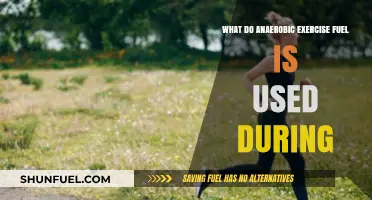 Anaerobic Exercise Fuel Sources: Unlocking Energy Without Oxygen