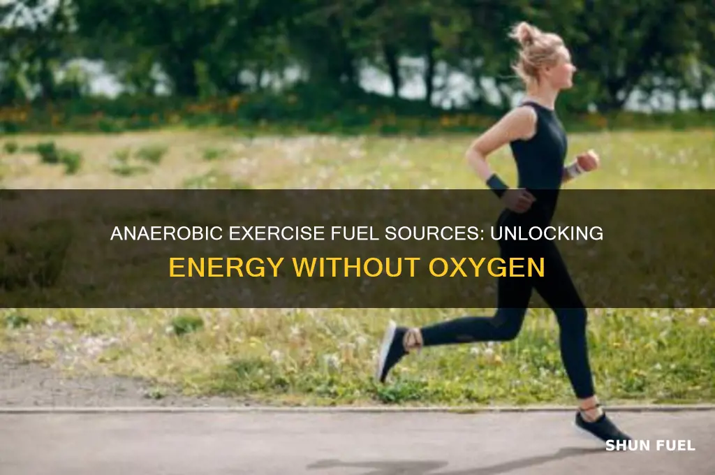 what do anaerobic exercise fuel is used during