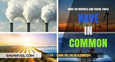 Biofuels vs Fossil Fuels: Energy Sources Compared