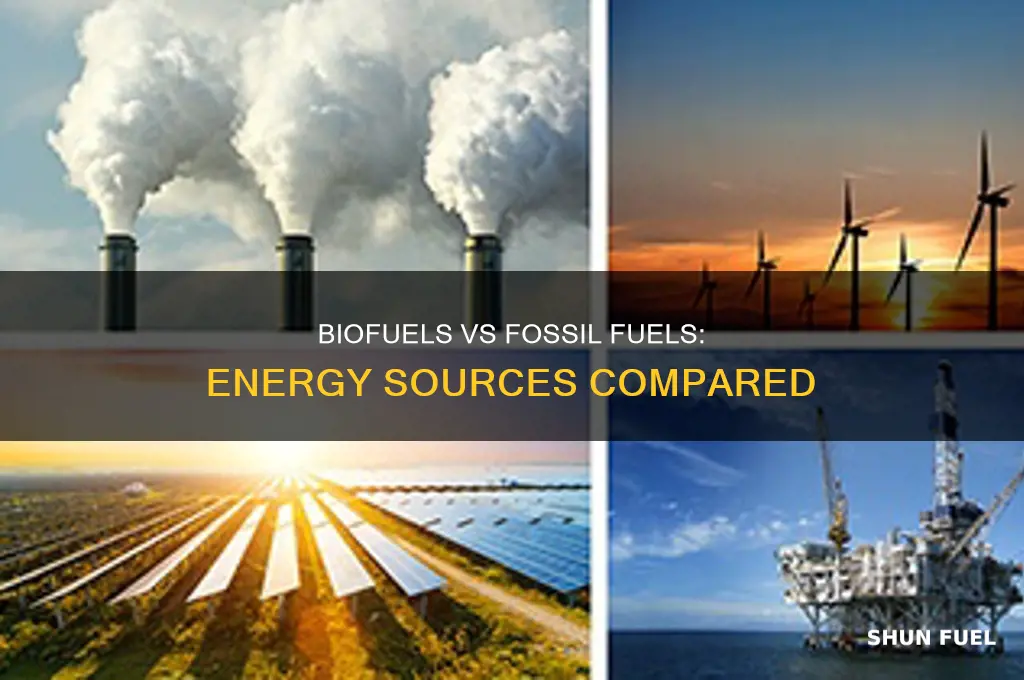 what do biofuels and fossil fuels have in common