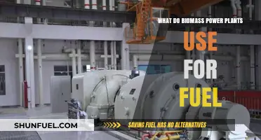 Biomass Power Plants: Fuel Sources and Sustainable Energy Production