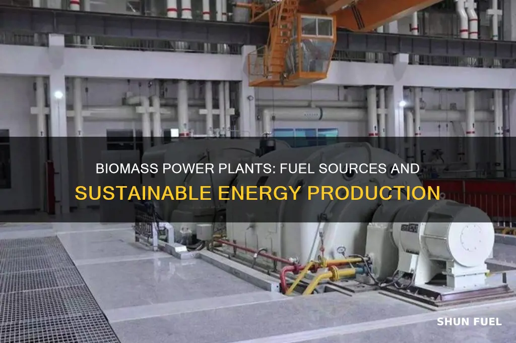 what do biomass power plants use for fuel