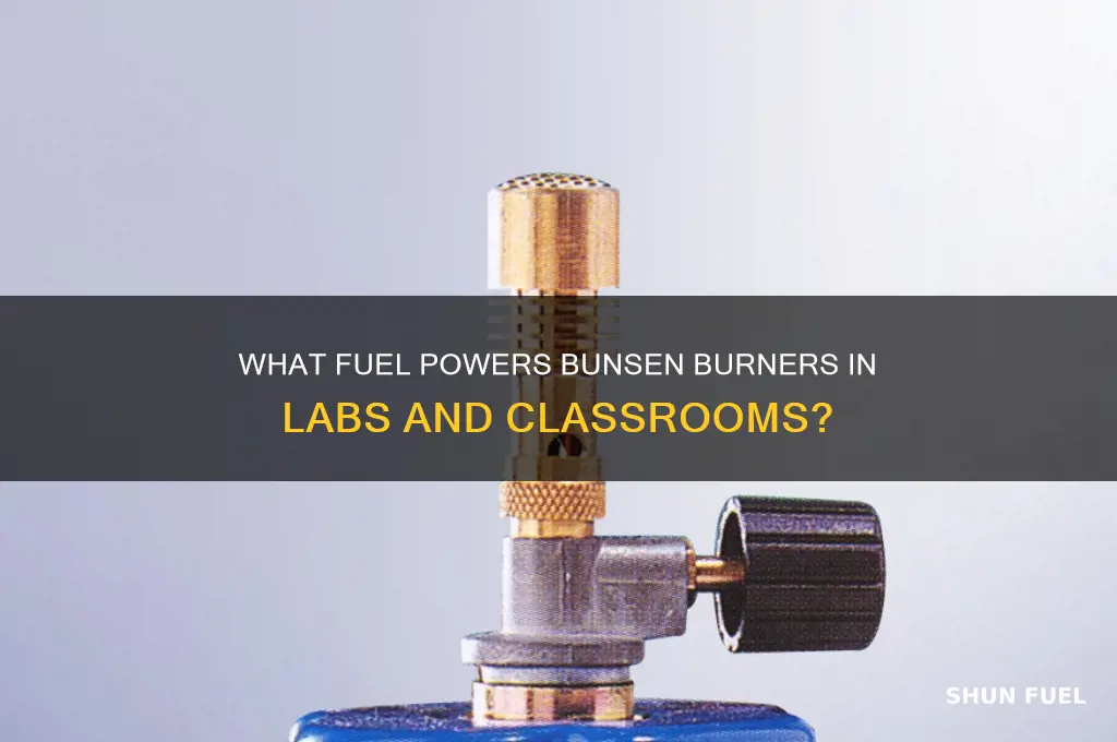 what do bunsen burners use for fuel